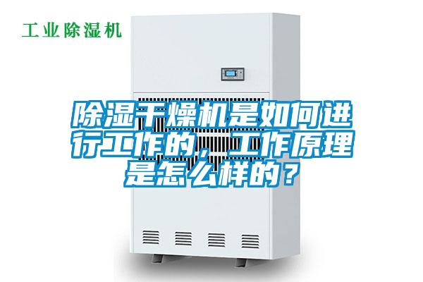 除濕干燥機是如何進行工作的，工作原理是怎么樣的？