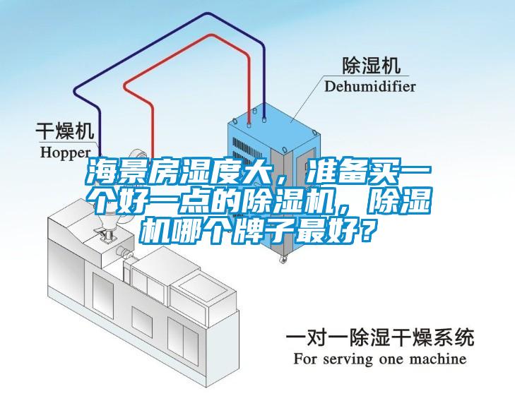 海景房濕度大，準(zhǔn)備買(mǎi)一個(gè)好一點(diǎn)的除濕機(jī)，除濕機(jī)哪個(gè)牌子最好？