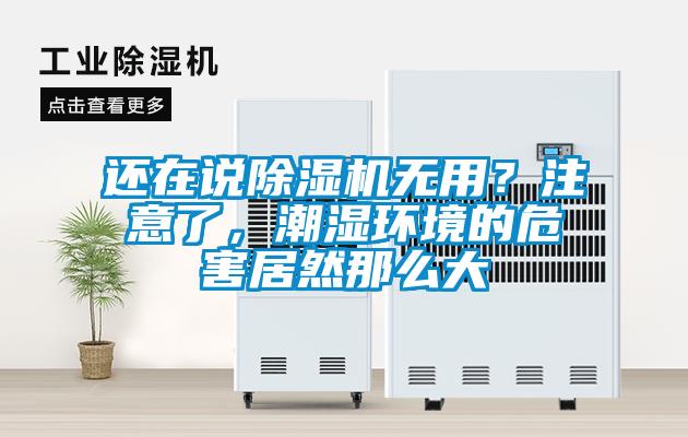 還在說(shuō)除濕機(jī)無(wú)用？注意了，潮濕環(huán)境的危害居然那么大