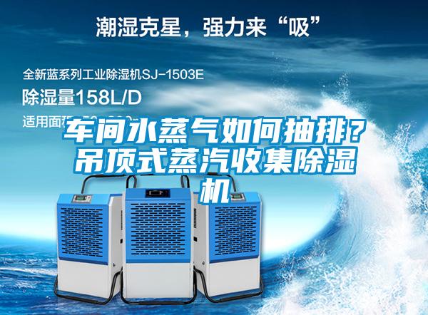 車間水蒸氣如何抽排？吊頂式蒸汽收集除濕機(jī)