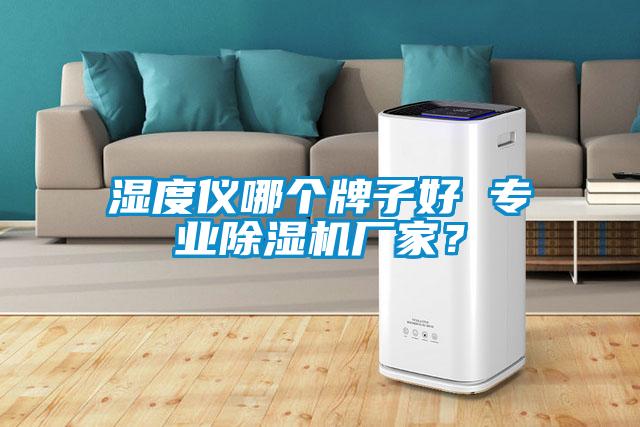 濕度儀哪個牌子好 專業除濕機廠家？