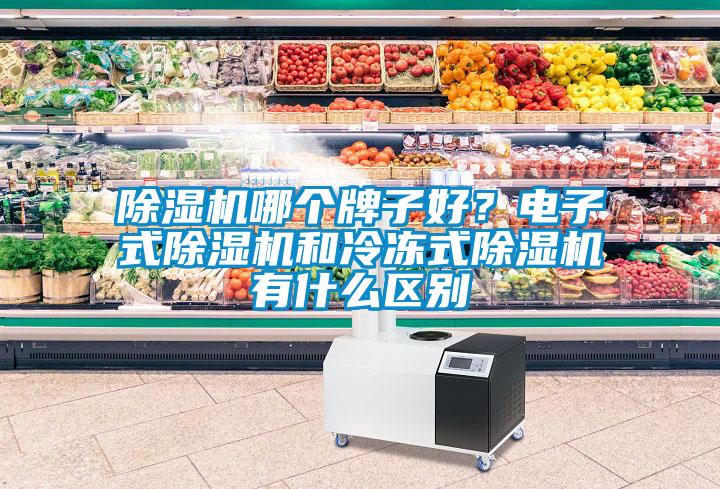 除濕機(jī)哪個(gè)牌子好？電子式除濕機(jī)和冷凍式除濕機(jī)有什么區(qū)別