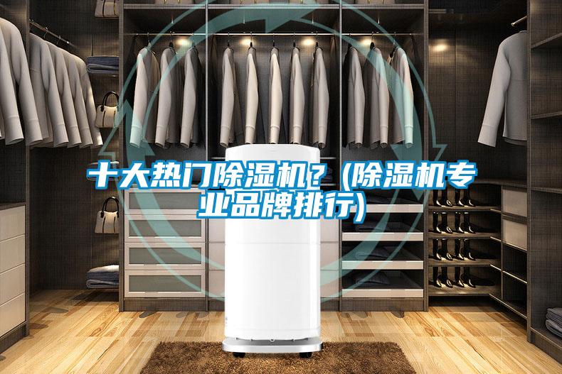 十大熱門除濕機？(除濕機專業品牌排行)
