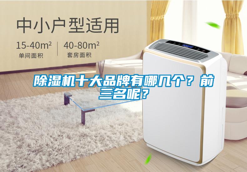 除濕機十大品牌有哪幾個？前三名呢？