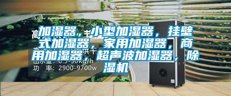 加濕器，小型加濕器，掛壁式加濕器，家用加濕器，商用加濕器，超聲波加濕器，除濕機
