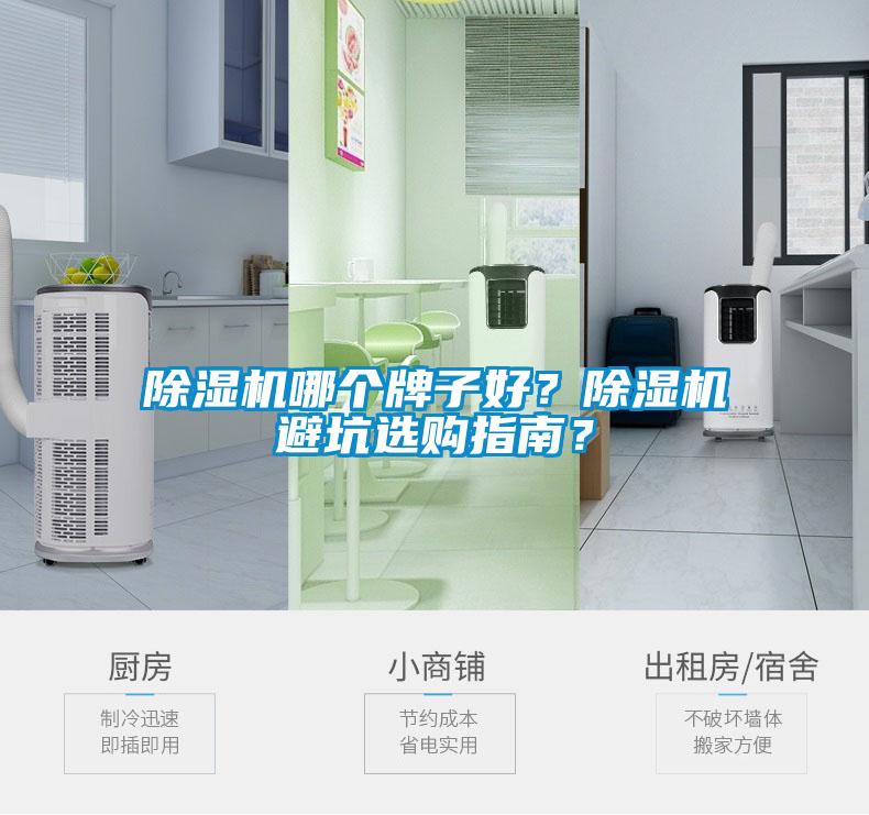 除濕機哪個牌子好？除濕機避坑選購指南？