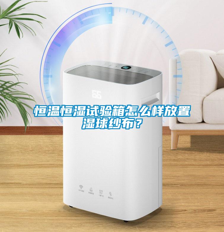 恒溫恒濕試驗箱怎么樣放置濕球紗布？
