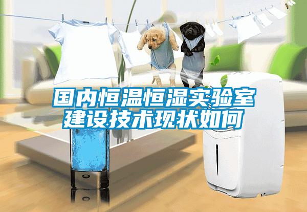國內(nèi)恒溫恒濕實驗室建設技術(shù)現(xiàn)狀如何