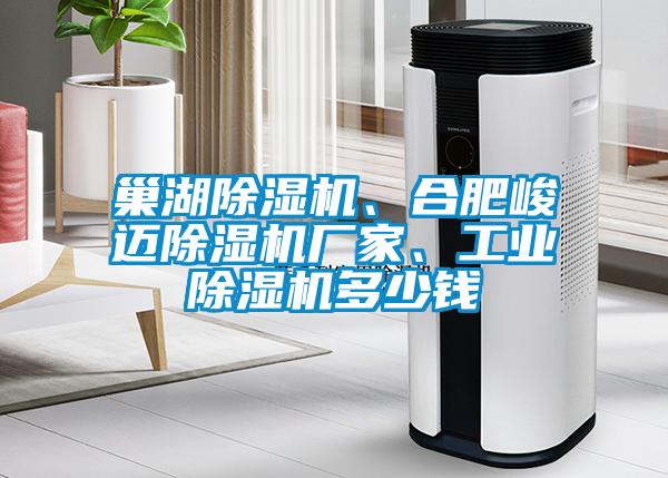 巢湖除濕機、合肥峻邁除濕機廠家、工業(yè)除濕機多少錢