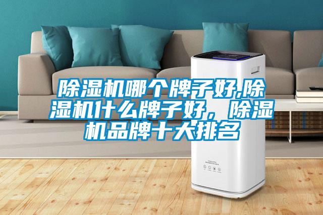 除濕機(jī)哪個(gè)牌子好,除濕機(jī)什么牌子好，除濕機(jī)品牌十大排名