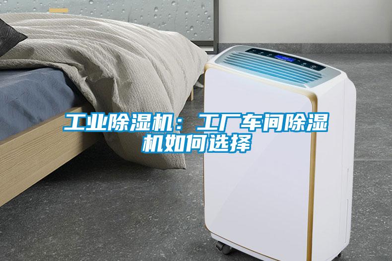 工業(yè)除濕機(jī)：工廠車(chē)間除濕機(jī)如何選擇