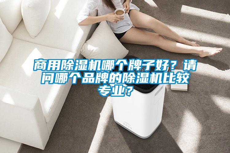 商用除濕機(jī)哪個(gè)牌子好？請(qǐng)問哪個(gè)品牌的除濕機(jī)比較專業(yè)？