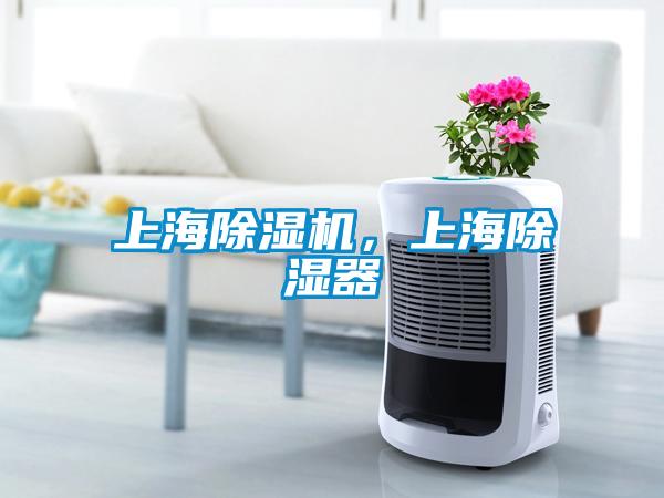 上海除濕機，上海除濕器