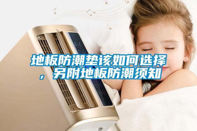 地板防潮墊該如何選擇，另附地板防潮須知