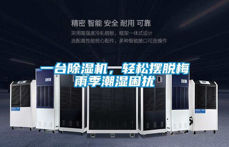 一臺除濕機，輕松擺脫梅雨季潮濕困擾