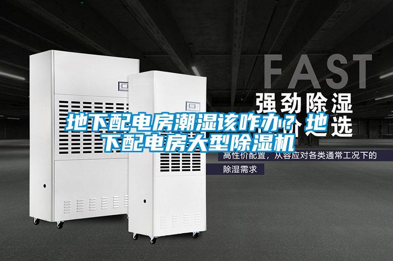 地下配電房潮濕該咋辦？地下配電房大型除濕機(jī)