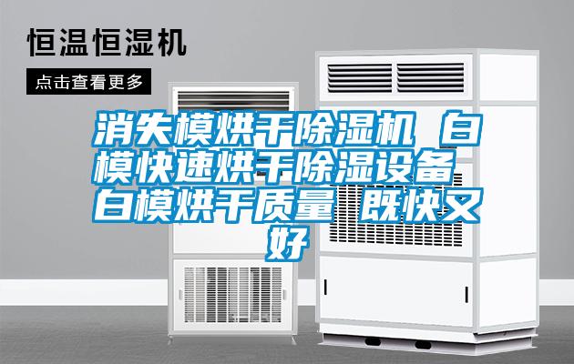 消失模烘干除濕機(jī) 白?？焖俸娓沙凉裨O(shè)備 白模烘干質(zhì)量 既快又好