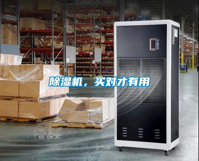 除濕機，買對才有用