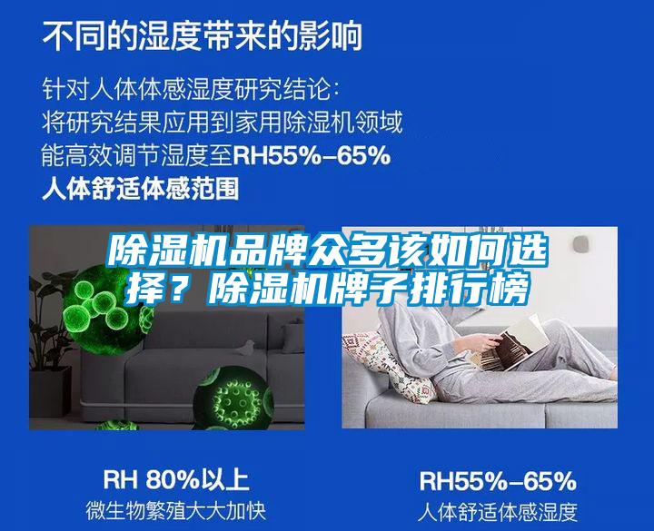除濕機品牌眾多該如何選擇？除濕機牌子排行榜