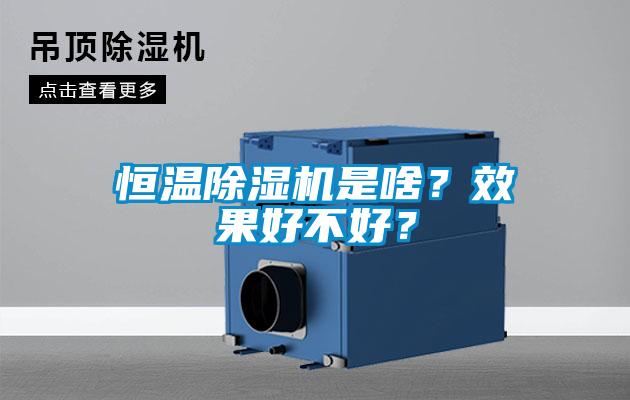 恒溫除濕機是啥？效果好不好？