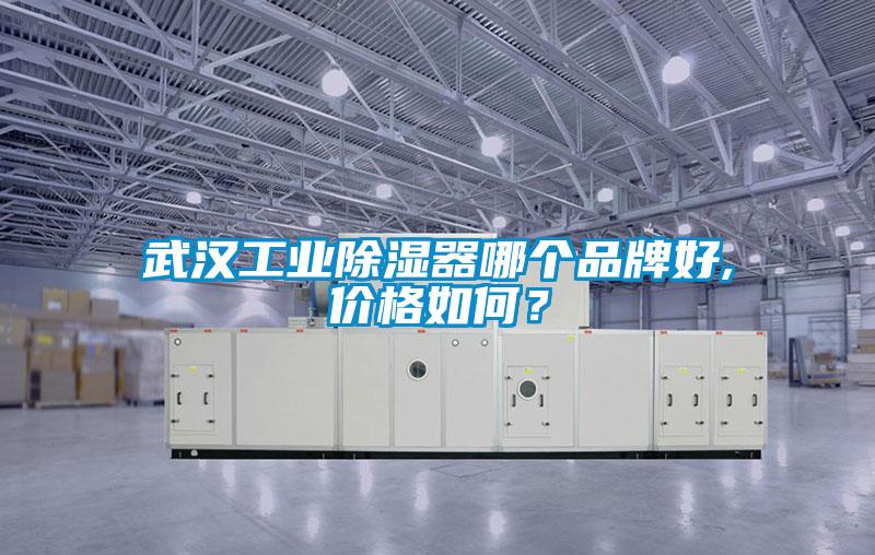 武漢工業(yè)除濕器哪個品牌好,價格如何？