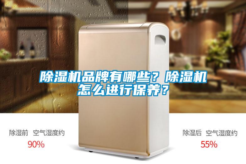 除濕機品牌有哪些？除濕機怎么進行保養(yǎng)？