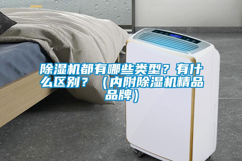 除濕機(jī)都有哪些類型？有什么區(qū)別？（內(nèi)附除濕機(jī)精品品牌）
