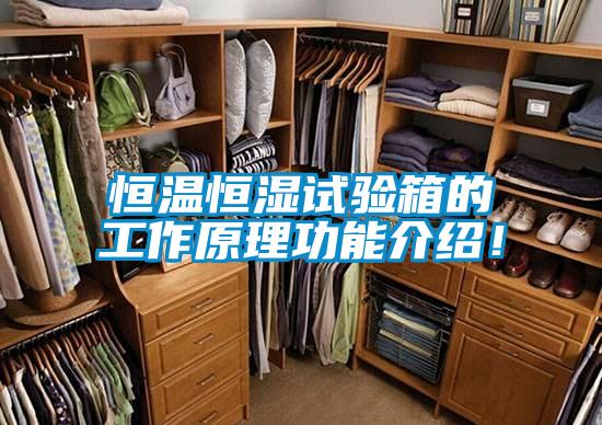 恒溫恒濕試驗(yàn)箱的工作原理功能介紹！