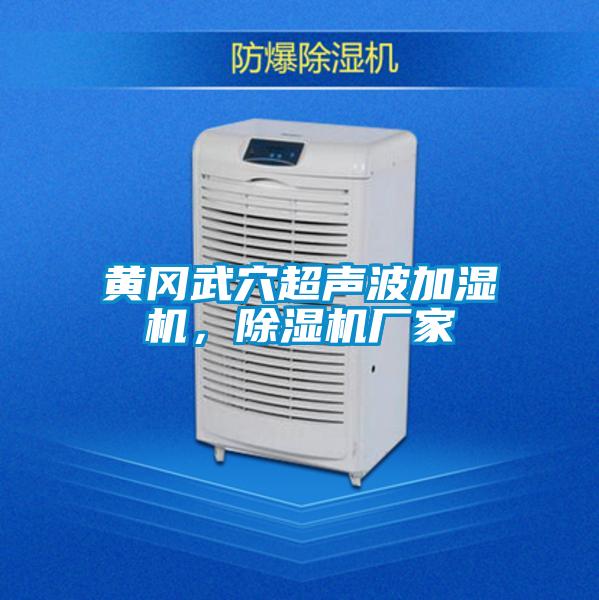 黃岡武穴超聲波加濕機(jī)，除濕機(jī)廠家