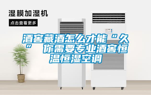 酒窖藏酒怎么才能“久” 你需要專業(yè)酒窖恒溫恒濕空調