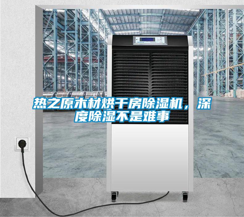 熱之原木材烘干房除濕機，深度除濕不是難事