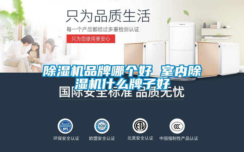 除濕機品牌哪個好 室內(nèi)除濕機什么牌子好