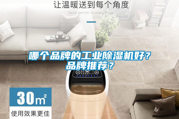 哪個品牌的工業(yè)除濕機好？品牌推薦？