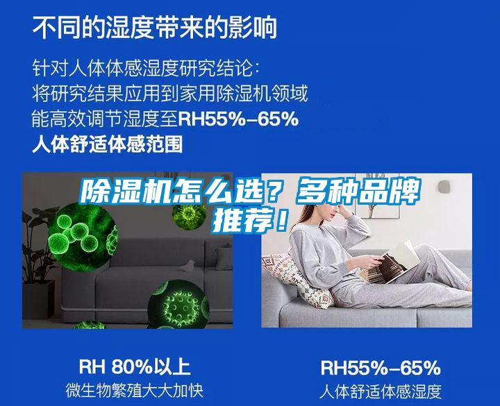 除濕機怎么選？多種品牌推薦！