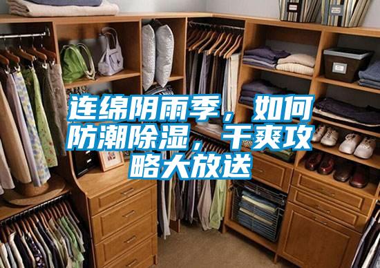 連綿陰雨季，如何防潮除濕，干爽攻略大放送