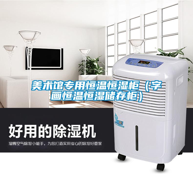 美術(shù)館專用恒溫恒濕柜（字畫恒溫恒濕儲(chǔ)存柜）