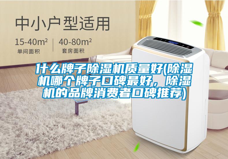 什么牌子除濕機質量好(除濕機哪個牌子口碑最好，除濕機的品牌消費者口碑推薦)