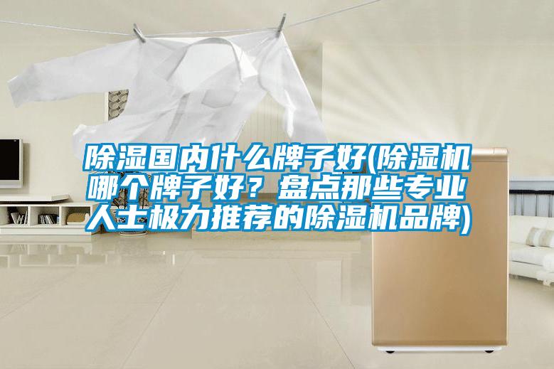 除濕國內什么牌子好(除濕機哪個牌子好？盤點那些專業人士極力推薦的除濕機品牌)