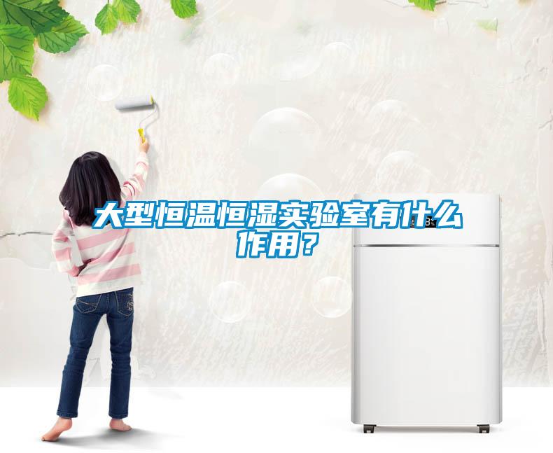 大型恒溫恒濕實驗室有什么作用？