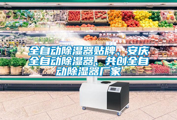 全自動除濕器貼牌、安慶全自動除濕器、共創(chuàng)全自動除濕器廠家
