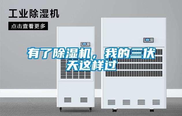 有了除濕機，我的三伏天這樣過