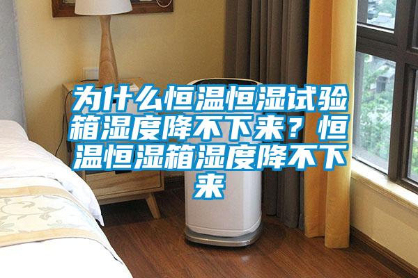 為什么恒溫恒濕試驗箱濕度降不下來？恒溫恒濕箱濕度降不下來