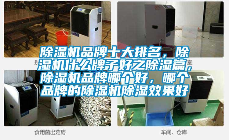 除濕機品牌十大排名，除濕機什么牌子好之除濕篇，除濕機品牌哪個好，哪個品牌的除濕機除濕效果好