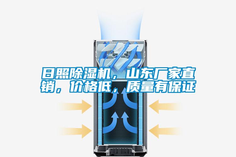 日照除濕機(jī)，山東廠家直銷(xiāo)，價(jià)格低，質(zhì)量有保證