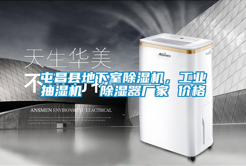 屯昌縣地下室除濕機(jī)，工業(yè)抽濕機(jī)  除濕器廠家 價(jià)格