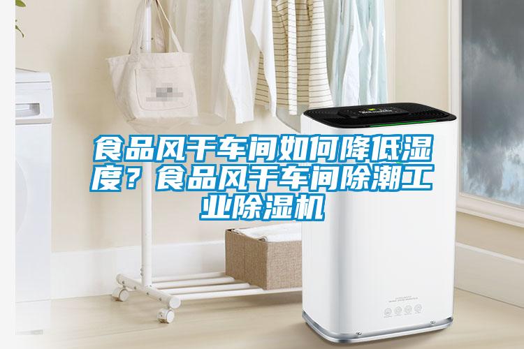 食品風干車間如何降低濕度？食品風干車間除潮工業除濕機
