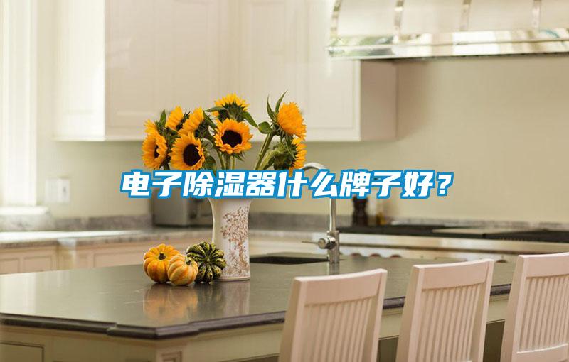 電子除濕器什么牌子好？