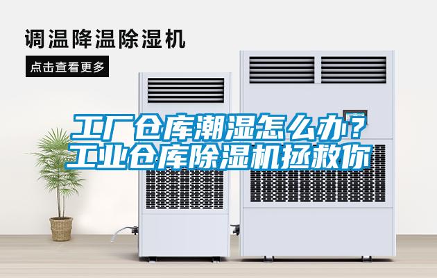 工廠倉庫潮濕怎么辦？工業倉庫除濕機拯救你