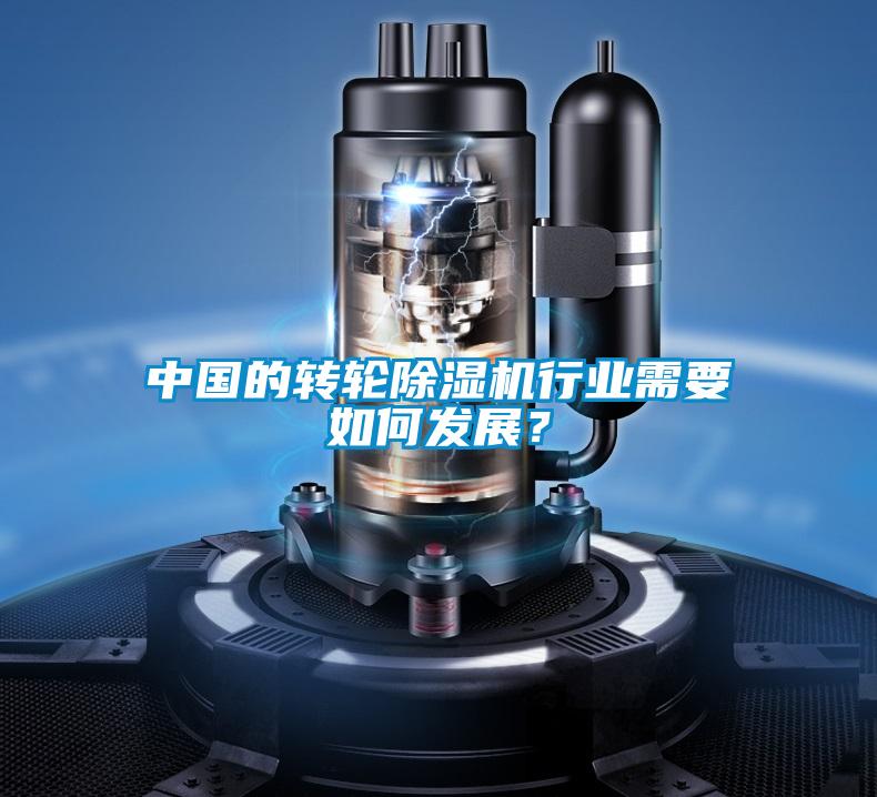 中國的轉輪除濕機行業(yè)需要如何發(fā)展？