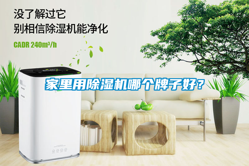 家里用除濕機哪個牌子好？